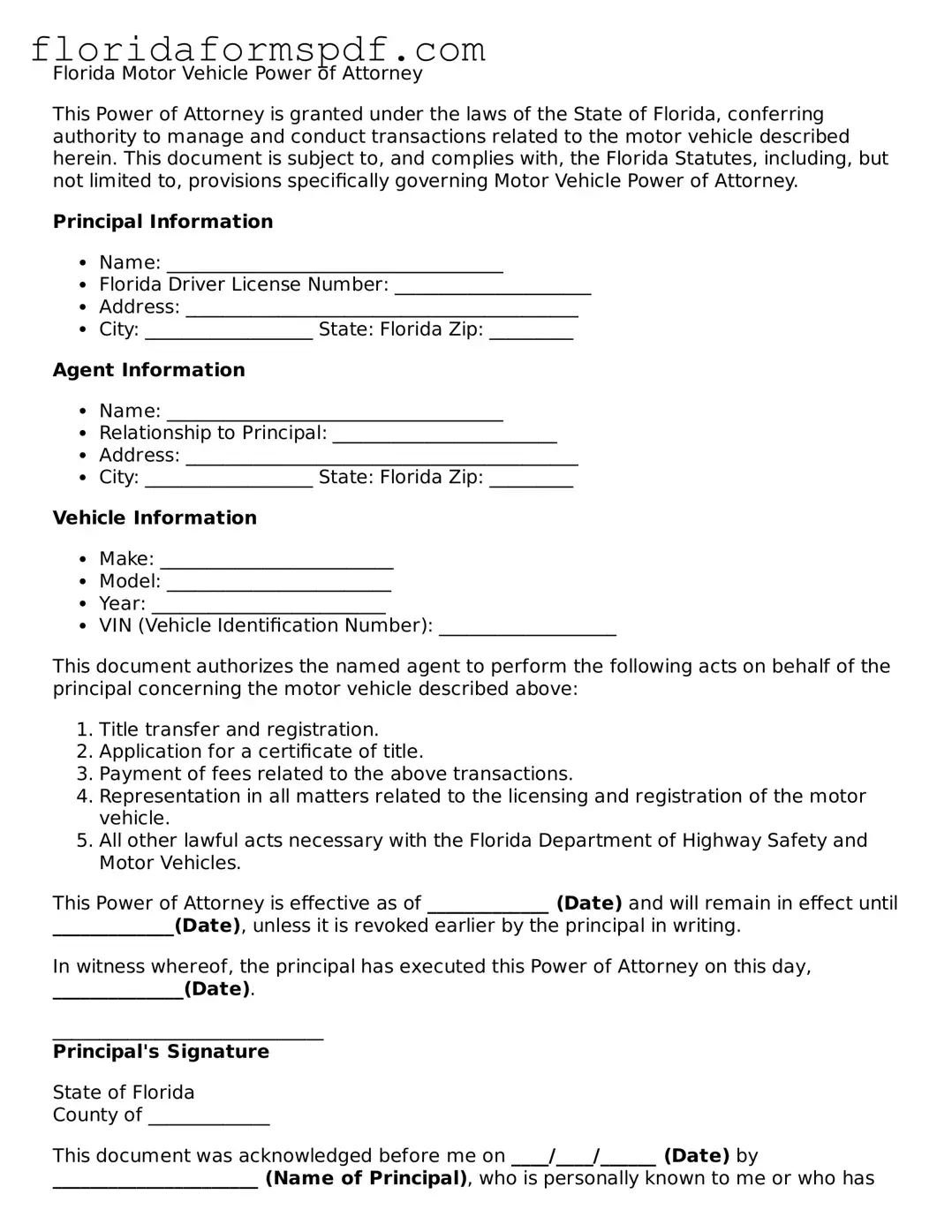Free  Motor Vehicle Power of Attorney Template for Florida