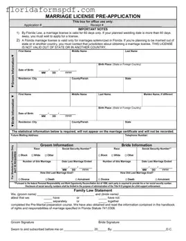 Fill Out a Valid Florida Marriage Application Template