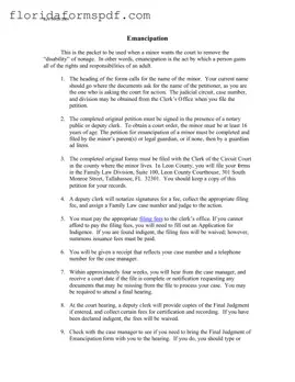 Fill Out a Valid Florida Petition Emancipation Template