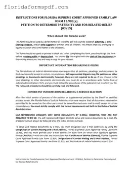 Fill Out a Valid Florida Petitioner Template